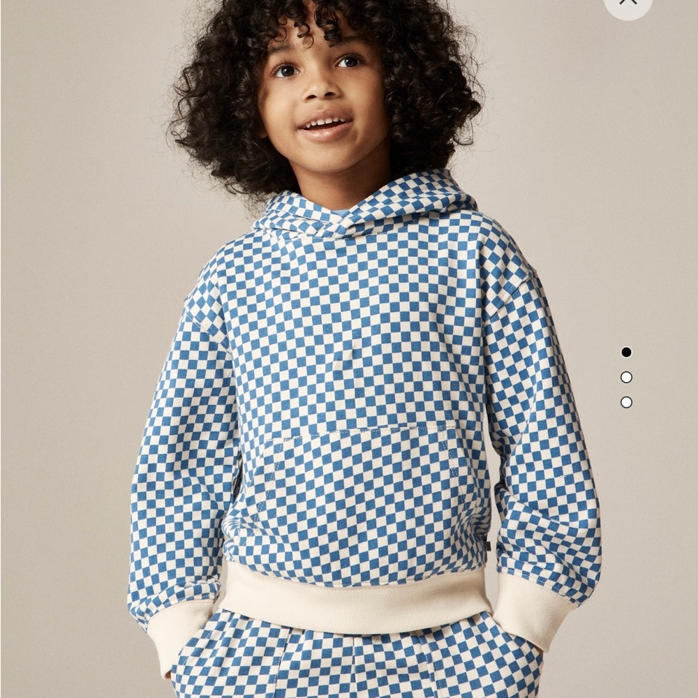 Jcrew crew cuts Blue Checkered Kids Hoodie